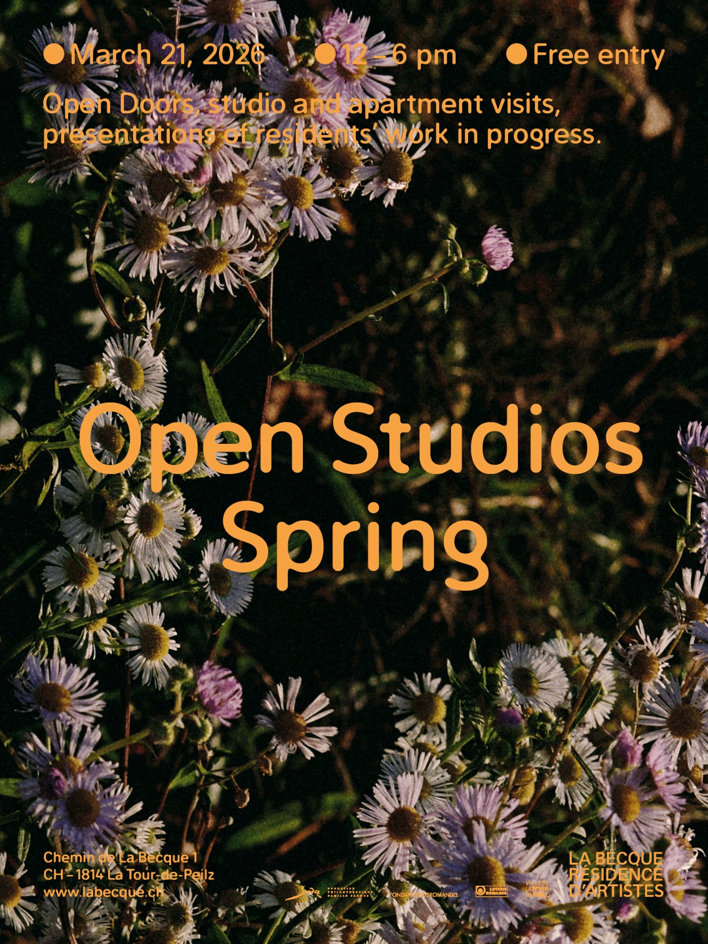 Open Studios Spring