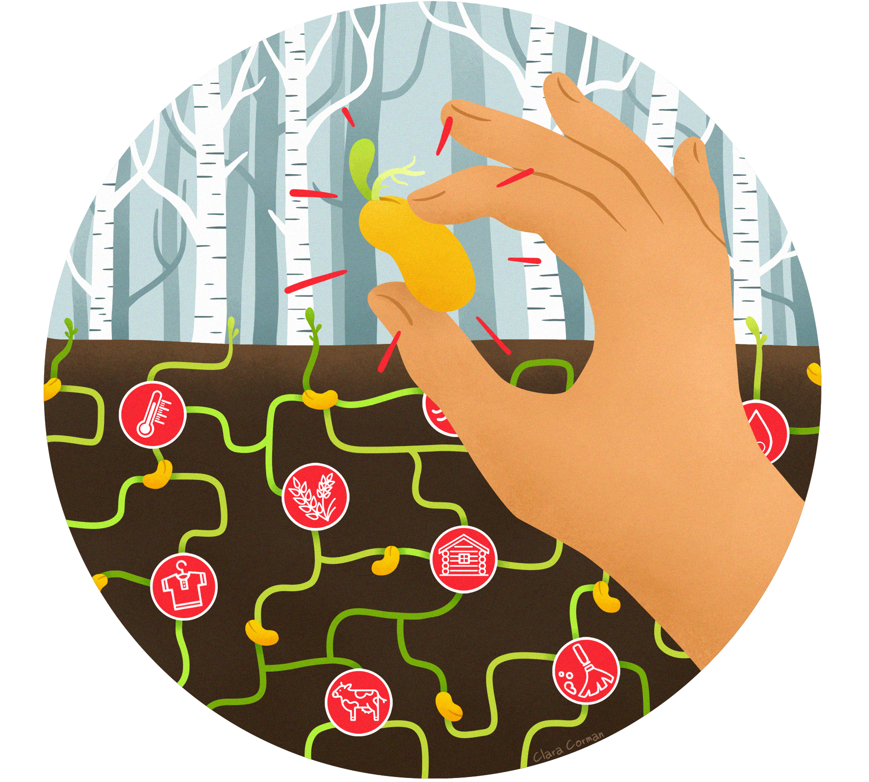 Je démarre un jardin bio en plaine