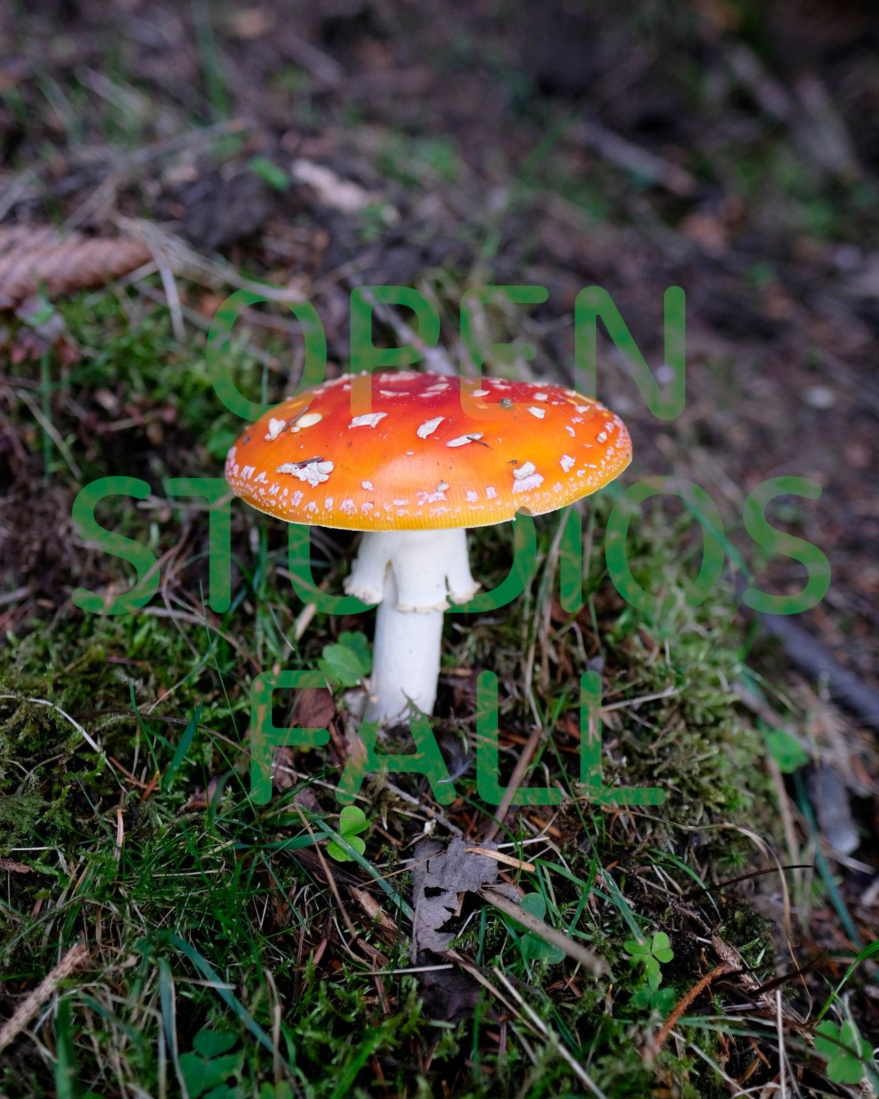 Open Studios - Automne 2022 