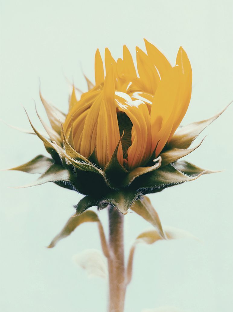 Concert de l'Ensemble Vocal de Lausanne