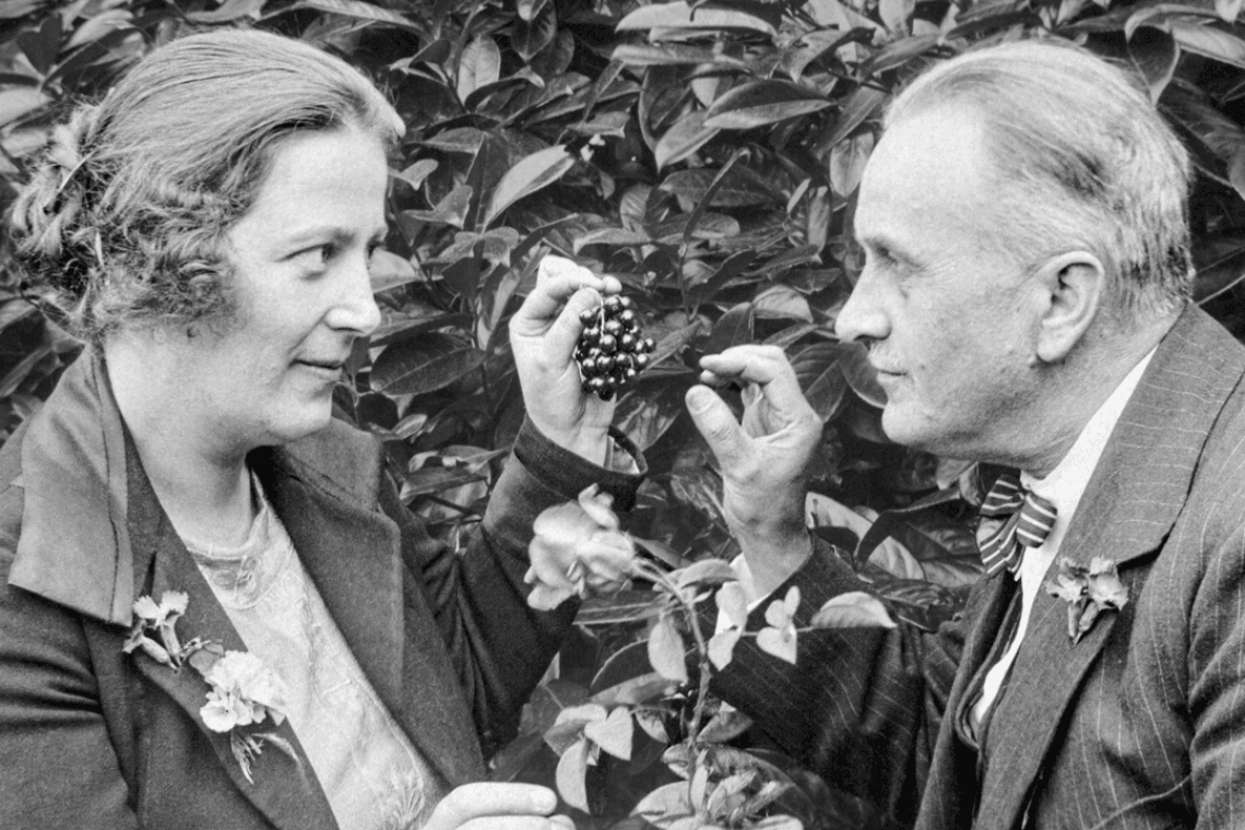 Concert de musique classique en partenariat avec l'association Harmonia Helvetica