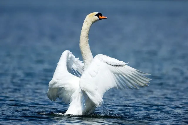 Parcours Nature